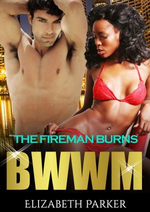 Book cover of The Fireman Burns