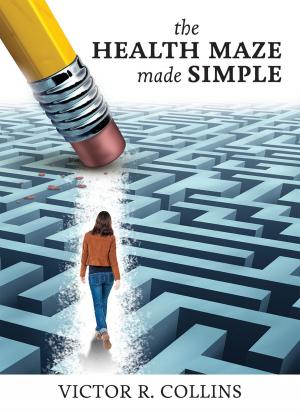 Cover of the book The Health Maze Made Simple by The Healthcare Guys