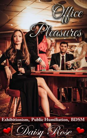 Book cover of Office Pleasures