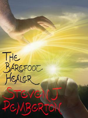 Book cover of The Barefoot Healer