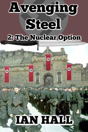 Cover of the book Avenging Steel 2: The Nuclear Option by Dennis E. Smirl, Ian Hall