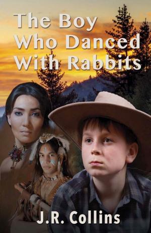 Book cover of The Boy Who Danced With The Rabbits