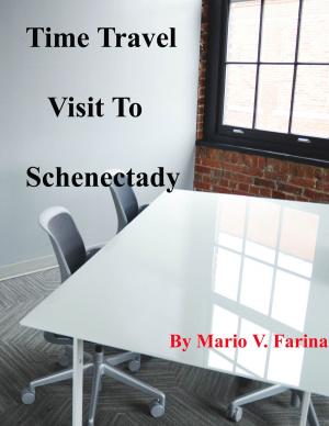 Book cover of Time Travel Visit to Schenectady