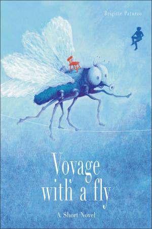 Cover of the book Voyage with a Fly by 子陽