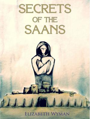 Cover of the book Secret of The Saans by David Gordon