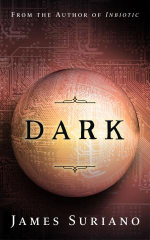 Cover of the book Dark by Amanda Mayer-Thilwind