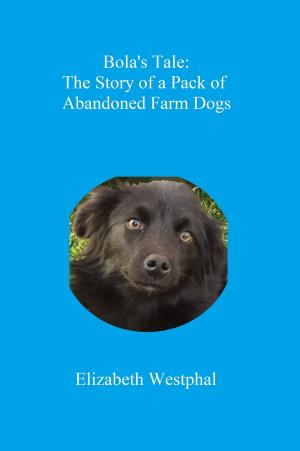 Cover of Bola's Tale: The Story of a Pack of Abandoned Farm Dogs