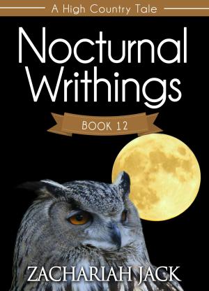 Cover of the book A High Country Tale: The Twelfth Tale-- Nocturnal Writhings, A Stickshift Saga by Zachariah Jack