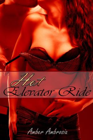 Cover of the book Hot Elevator Ride by J.M. Christopher