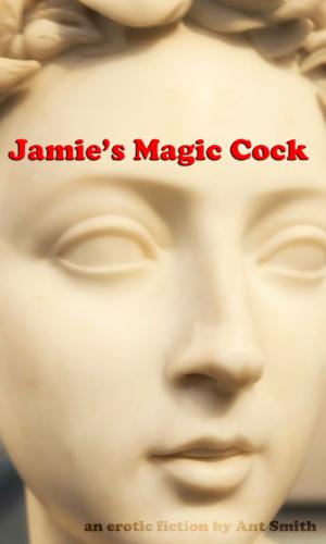 Book cover of Jamie's Magic Cock