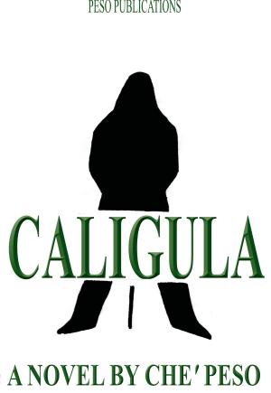 Cover of the book Caligula by michael stanley