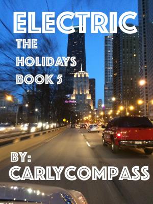 Book cover of Electric, The Holidays, Book 5