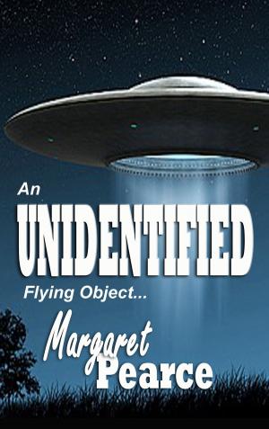 Cover of the book An UNIDENTIFIED Flying Object by Sheldon Friedman