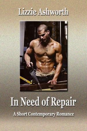 Book cover of In Need of Repair