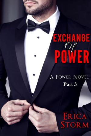 Cover of the book Exchange of Power Part 3 by Erica Storm