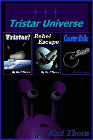Cover of the book Tristar Universe by D. F. Wink