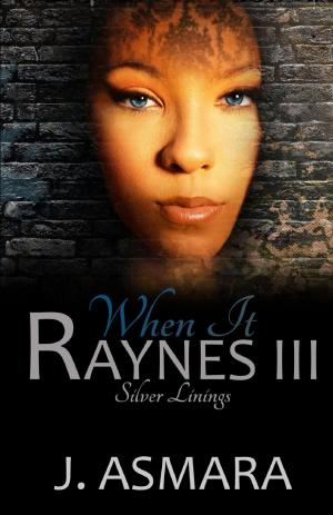 Book cover of When It Raynes 3: Silver Linings