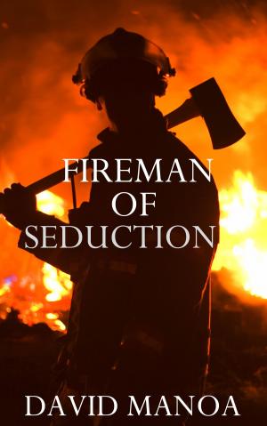 Cover of the book Fireman of Seduction by Rachel Anne Lane