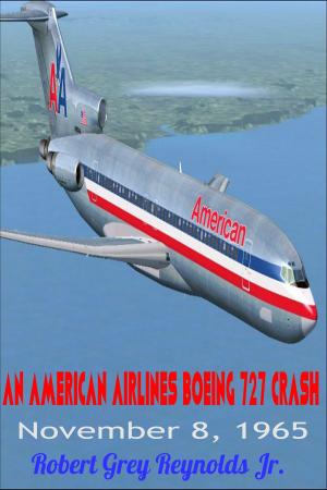 Cover of the book An American Airlines Boeing 727 Crash November 8, 1965 by Robert Grey Reynolds Jr