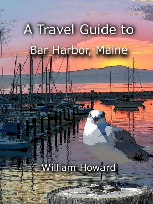 Cover of the book A Travel Guide to Bar Harbor, Maine by Syed R. Mahmood