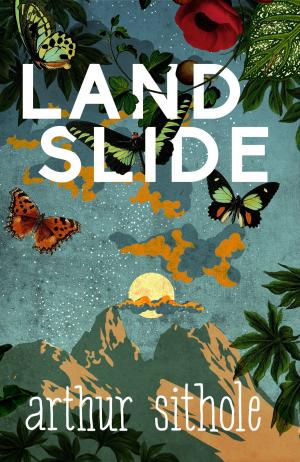 Cover of the book Landslide by Jason Greendyk