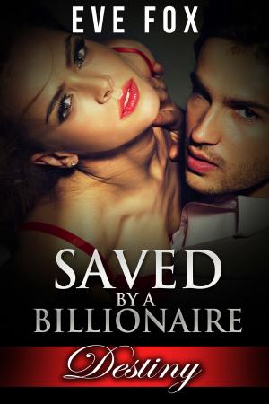 Cover of the book Destiny: Book 1: Saved by a Billionaire by Katrina Kahler, John Zakour