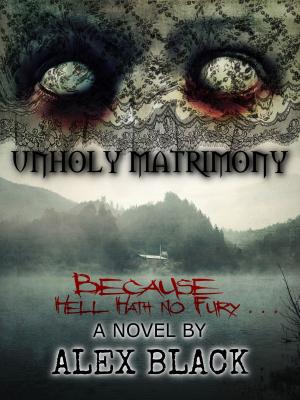 Cover of the book Unholy Matrimony by Christine Frost