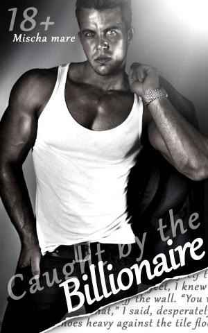 Cover of the book Caught by the Billionaire (Billionaire Lovers, Vol. I) by Audrey Nash