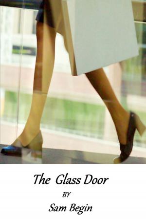 bigCover of the book The Glass Door by 
