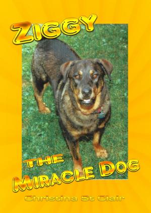 Cover of the book Ziggy the Miracle Dog by Catherine Braillard