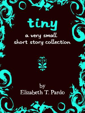 Cover of the book Tiny: A Very Small Short Story Collection by DAVID PHILLIPS