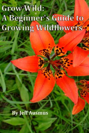 Book cover of Grow Wild: A Beginner's Guild to Growing Wildflowers