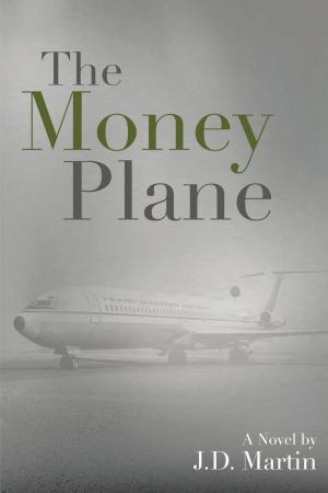 Cover of the book The Money Plane by F. B. Sanborn