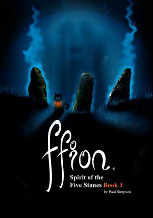 Book cover of Ffion: Spirit of the Five Stones