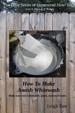 Cover of How To Make Amish Whitewash: Make Your Own Whitewash, Paint, and Wood Stain