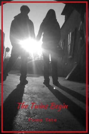 Cover of the book The Twins Begin by Tom Conyers, Danielle Tara Evans, John Cassian, D.Z.C., L.K. Evans, Chance Maree, Thaddeus White