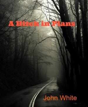 Book cover of A Hitch in Plans