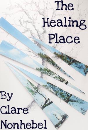 Book cover of The Healing Place