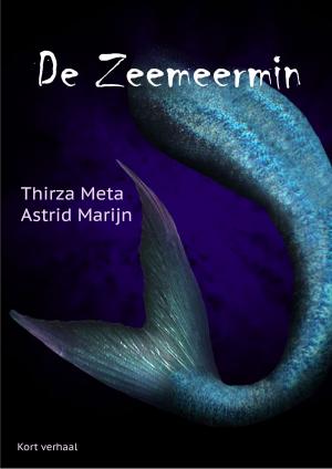 Cover of the book De Zeemeermin by Eileen Wilks
