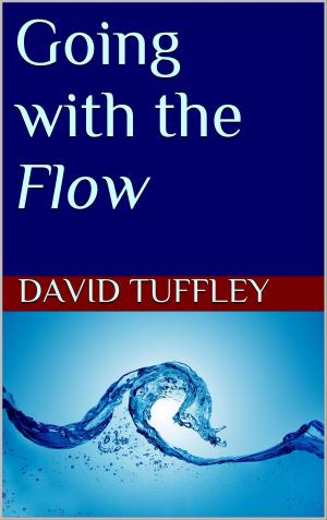 bigCover of the book Going with the Flow by 