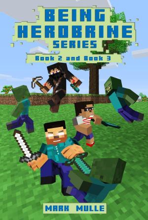 Book cover of Being Herobrine, Book 2 and Book 3