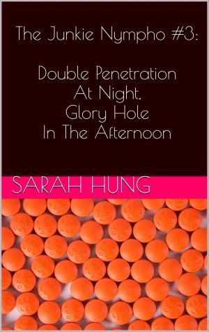 bigCover of the book The Junkie Nympho #3: Double Penetration At Night, Glory Hole In The Afternoon by 