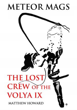 Cover of the book Meteor Mags: The Lost Crew of the Volya IX by Damon L. Wakes