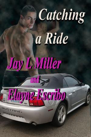 Book cover of Catching a Ride