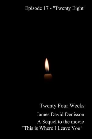 Cover of Twenty Four Weeks: Episode 17 - "Twenty Eight"