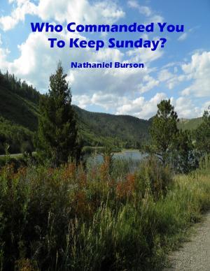 Cover of the book Who Commanded You To Keep Sunday? by Martin Luther