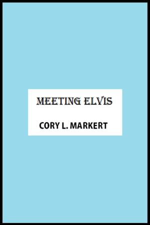 Book cover of Meeting Elvis