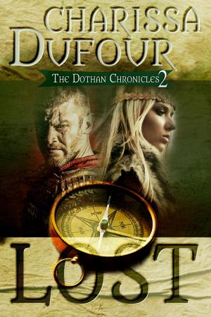 Cover of the book Lost by D. A. Metrov