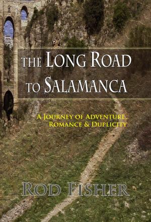 Cover of the book The Long Road to Salamanca by Annika Romero