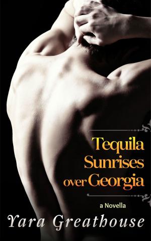 Cover of the book Tequila Sunrises over Georgia (a novella) by Steve Perry